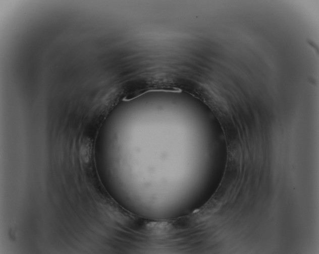 X0000092300133200710041454