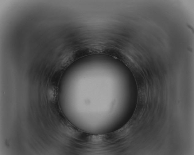 X0000092300134200710041454