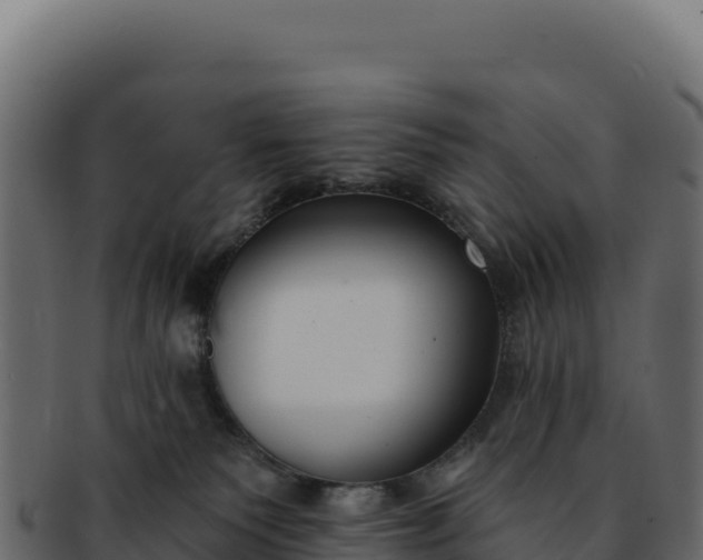 X0000092300135200710041454