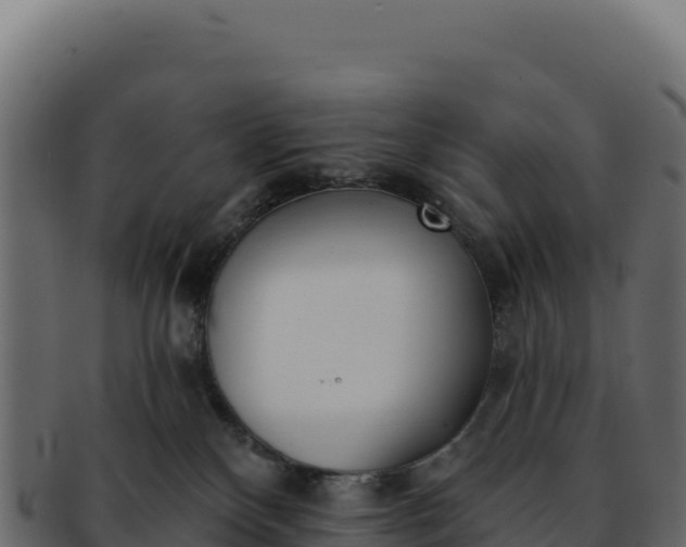 X0000092300136200710041454