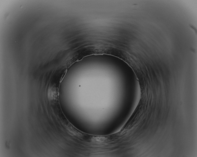 X0000092300137200710041454