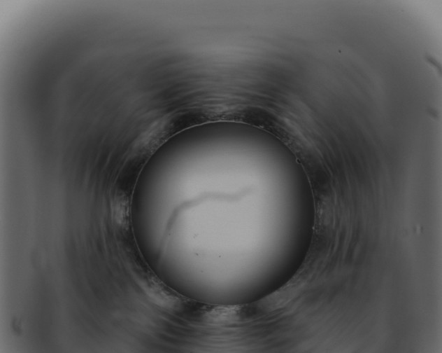 X0000092300138200710041454