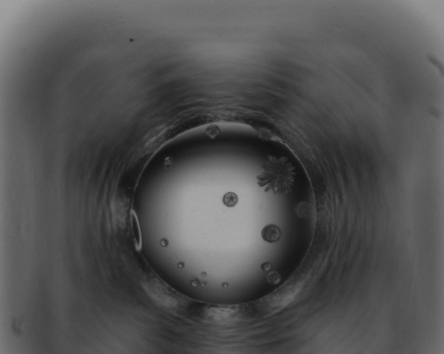 X0000092300139200710041454