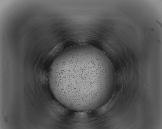 X0000092300140200710041454