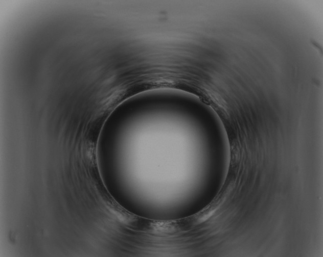 X0000092300141200710041454