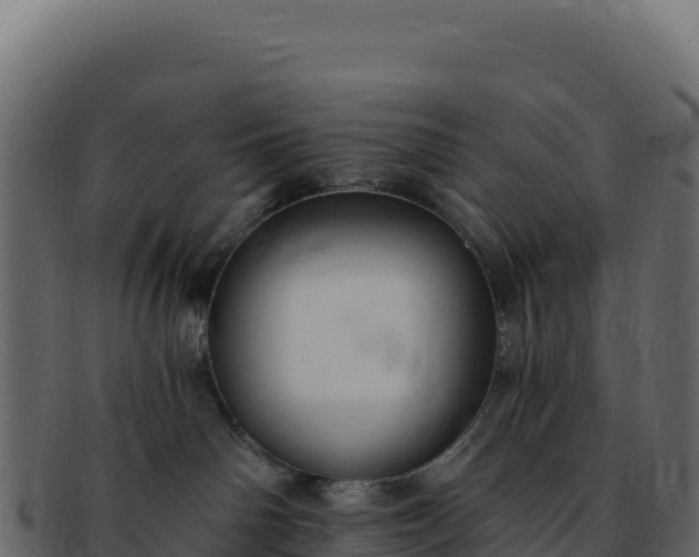 X0000092300142200710041454