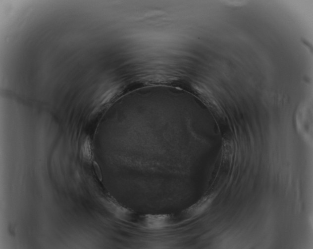 X0000092300143200710041454