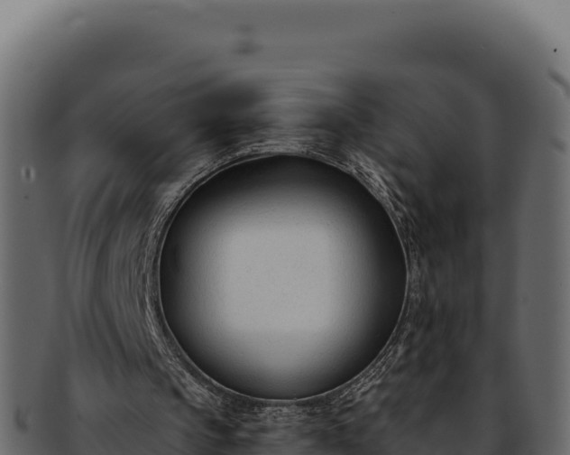 X0000092300145200710041453