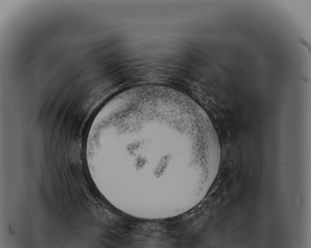 X0000092300146200710041453