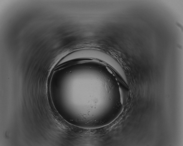 X0000092300148200710041453