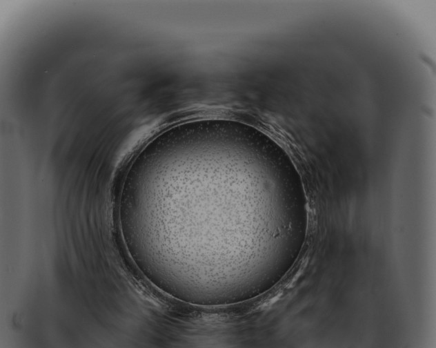 X0000092300149200710041453