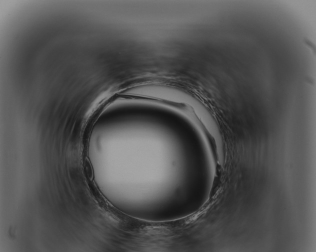 X0000092300150200710041453