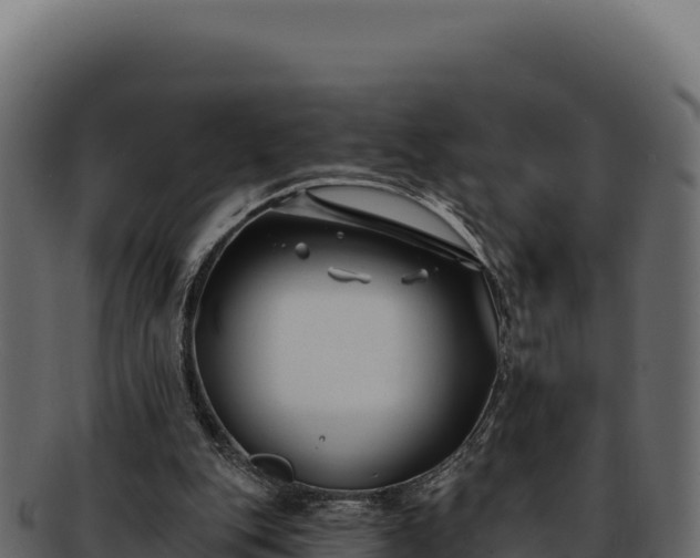 X0000092300151200710041454