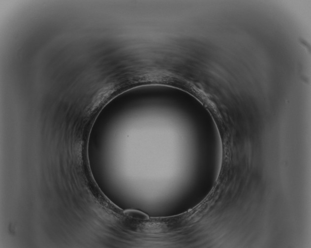 X0000092300154200710041454