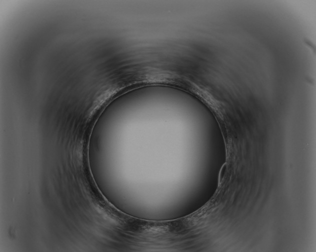 X0000092300155200710041454