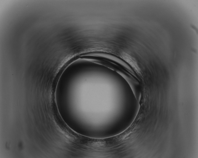 X0000092300156200710041454