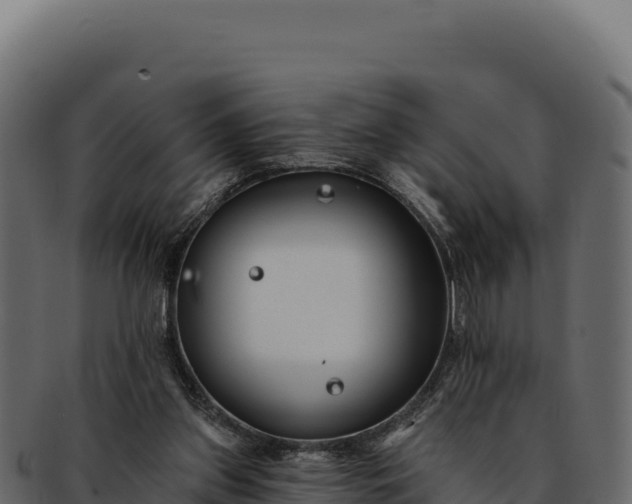 X0000092300157200710041454