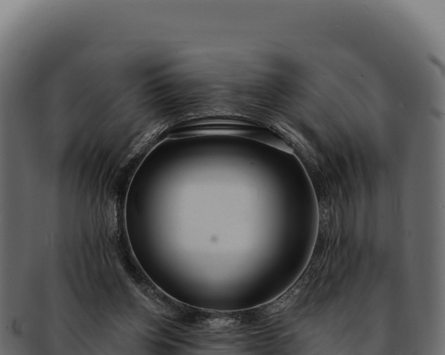 X0000092300158200710041454