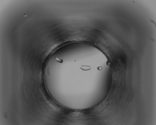 X0000092300159200710041454