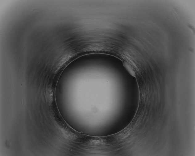 X0000092300160200710041454