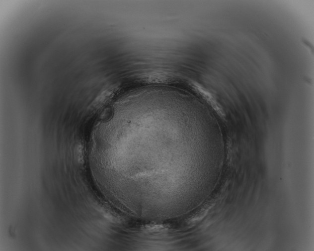 X0000092300161200710041454