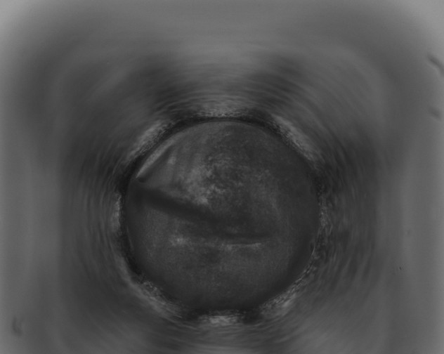 X0000092300163200710041454