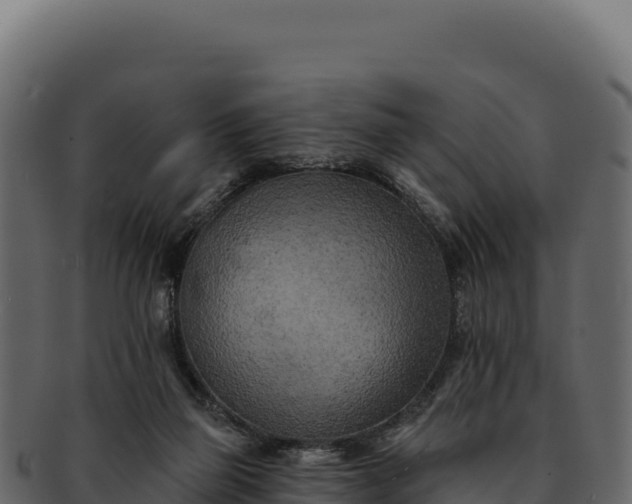 X0000092300165200710041454