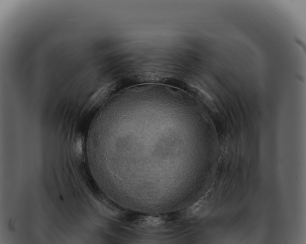 X0000092300166200710041454