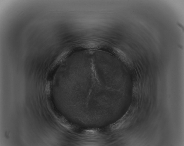 X0000092300167200710041454