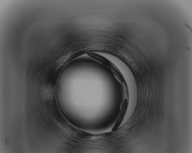 X0000092300168200710041454