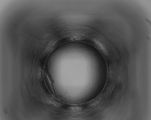 X0000092300169200710041454