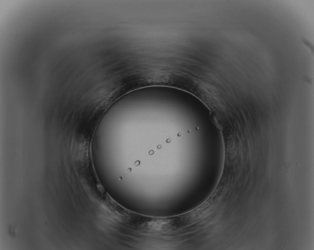 X0000092300172200710041454