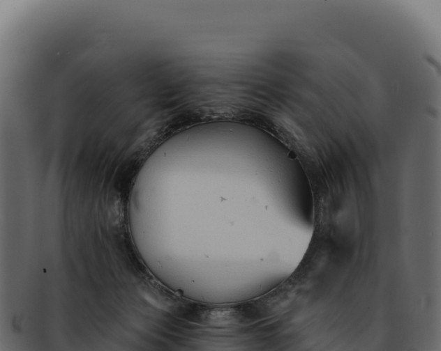 X0000092300173200710041454