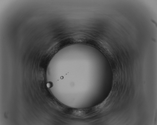 X0000092300174200710041454