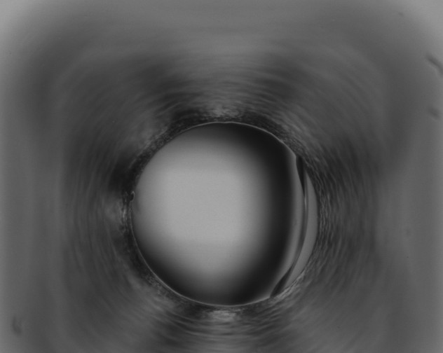 X0000092300176200710041454