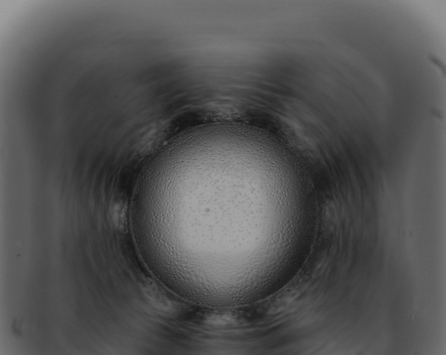 X0000092300177200710041454