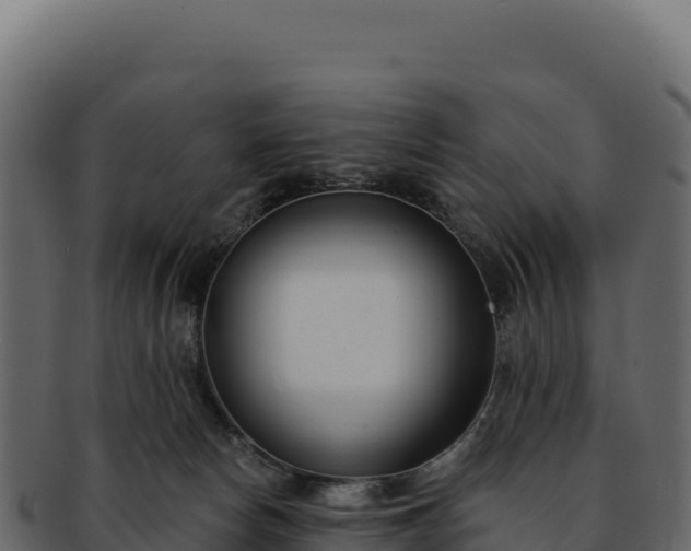 X0000092300178200710041454