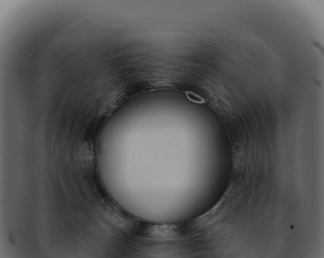 X0000092300179200710041454