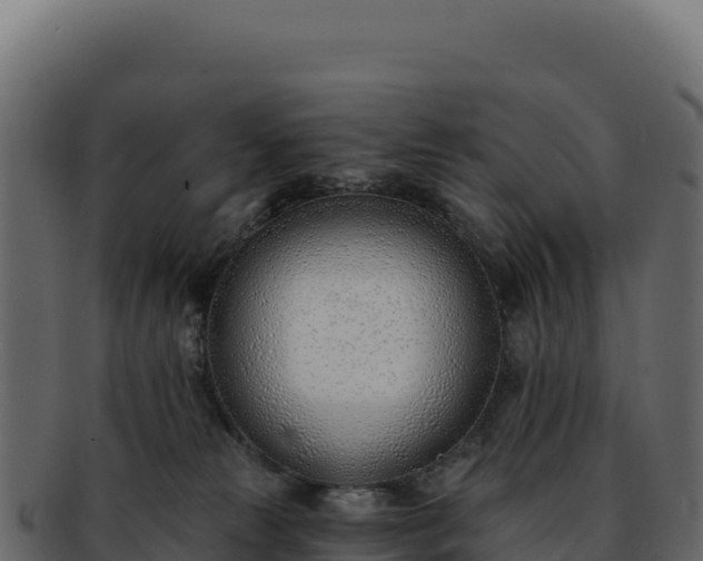 X0000092300181200710041454