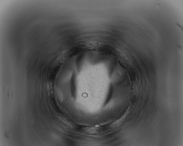 X0000092300182200710041454