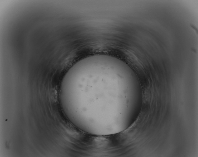 X0000092300183200710041454