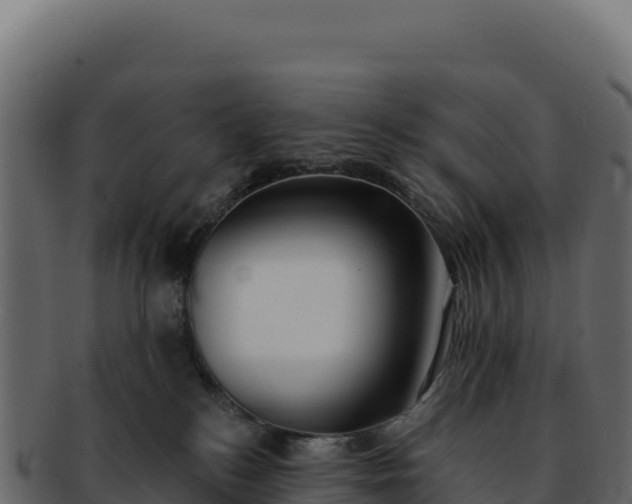 X0000092300184200710041454