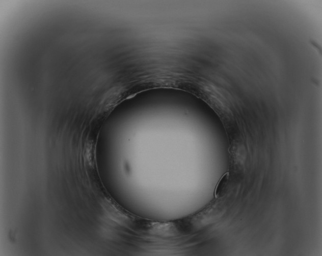 X0000092300185200710041454