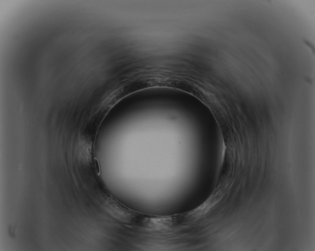 X0000092300188200710041454