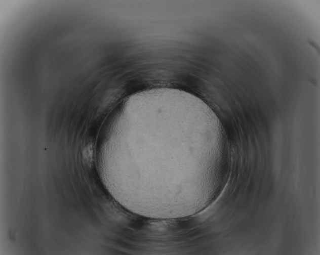 X0000092300190200710041454