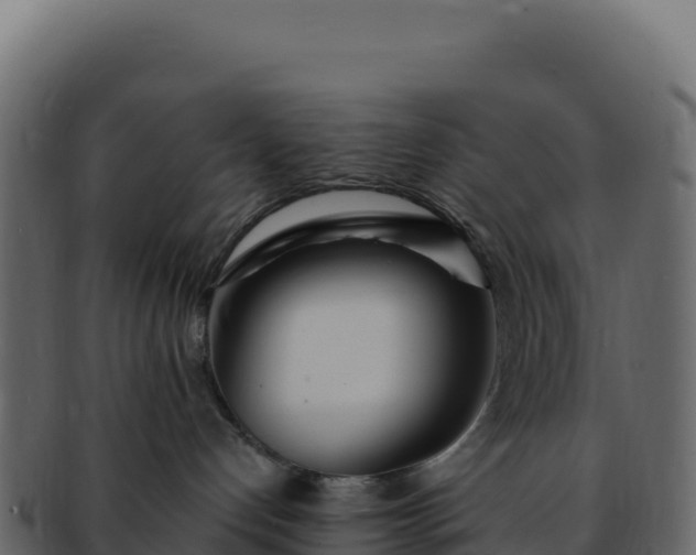 X0000092300192200710041454