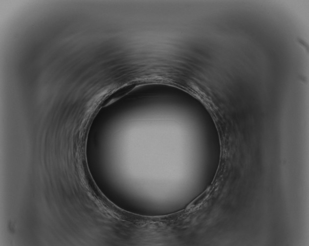 X0000092300193200710041453