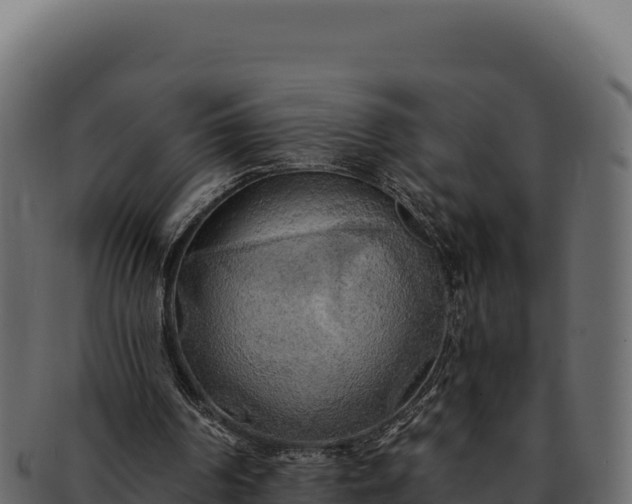 X0000092300194200710041453