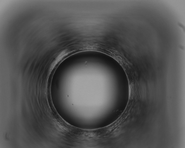 X0000092300195200710041453