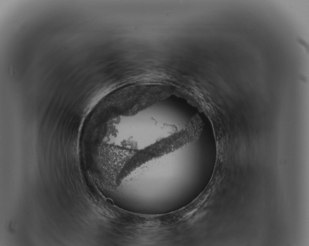 X0000092300196200710041453